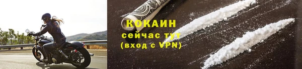 шишки Богородицк